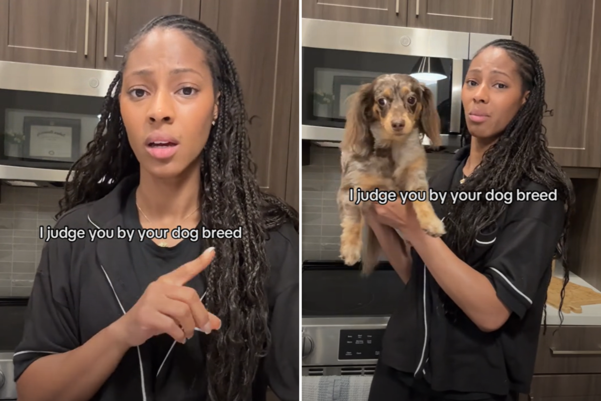What dog breed says about you