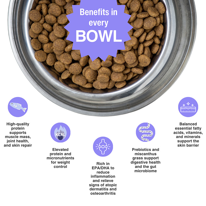 050525_Rayne-Skin-Relief-dog-food_Embedded.jpg