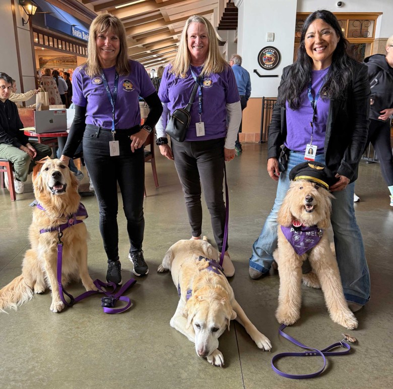 Therapy dogs Rogue, Mazda and Jagger, along with their human friends, visit the Santa Barbara Airport earlier this month.