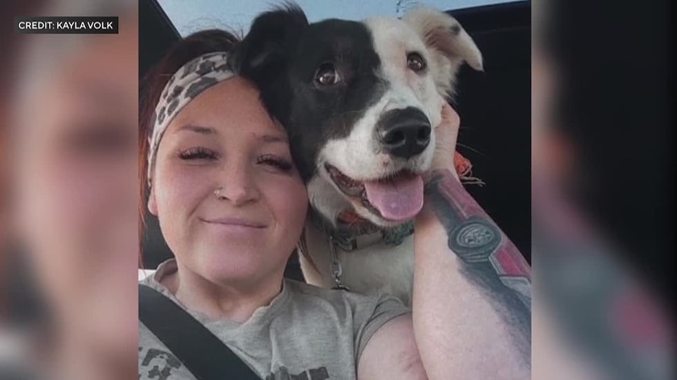 Nine dogs were found dead at an in-house dog boarding and training facility in Minnesota.