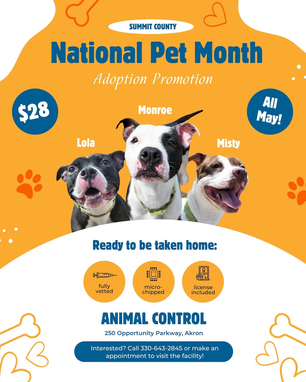 Summit County Animal Control ‘FULL’ with 90+ dogs reduces adoption fee to $24 through May