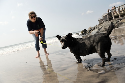 Dog Beach in Brigantine