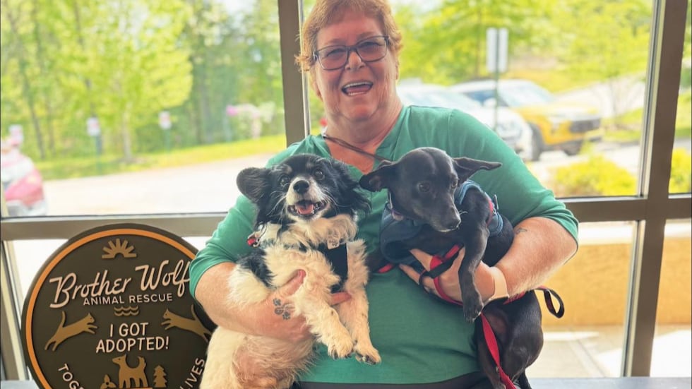 Dutch and Pepper were adopted together, honoring their owner's dying wish