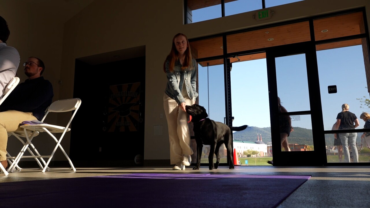 Girl walking dog