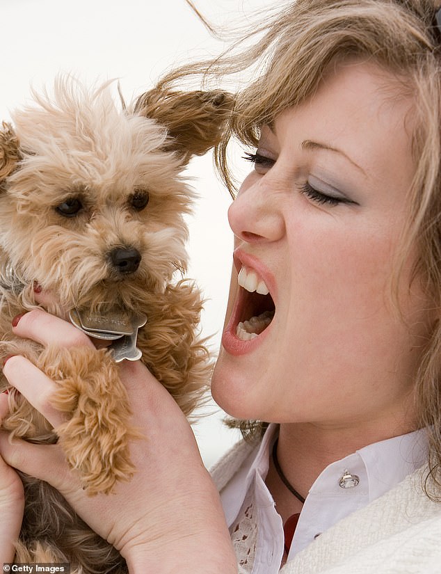 In the six decades Cbeen around, it seems dogs have gone from being loved but practical pets to acquiring the same status as any other (human) member of the family, writes CLAUDIA CONNELL [stock image]