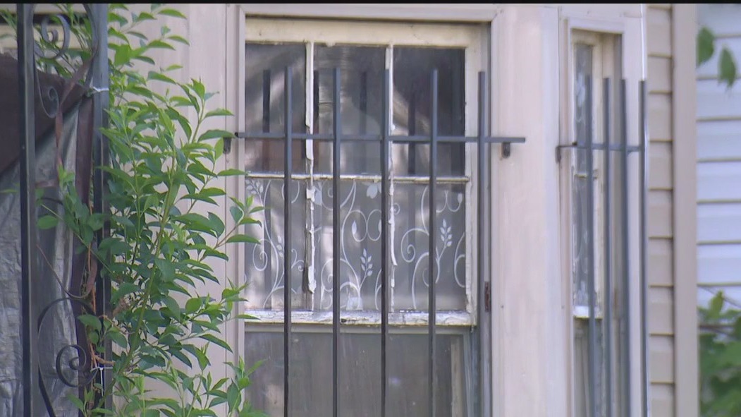 Several dogs, cats found dead in animal hoarding case