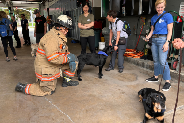 Gregory Mitchell with training pups