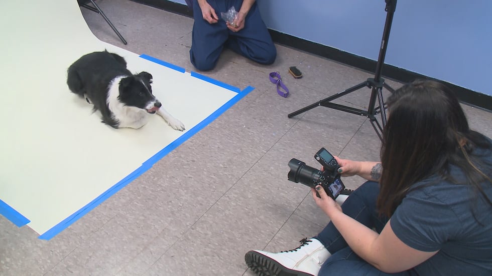 Rebecca Trumbull is a Toledo-based photographer who is hosting a photo shoot for shelter dogs...