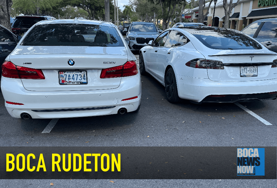 BOCA RUDETON: Publix Dogs, Idiot Parkers, American Airlines Wins 2 %%