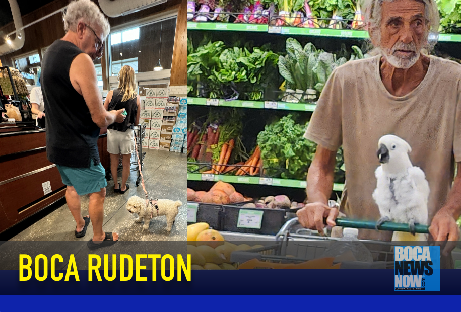 BOCA RUDETON: Birds, Dogs, Bad Parking, And More Rudeness Plaguing Paradise 2 %%
