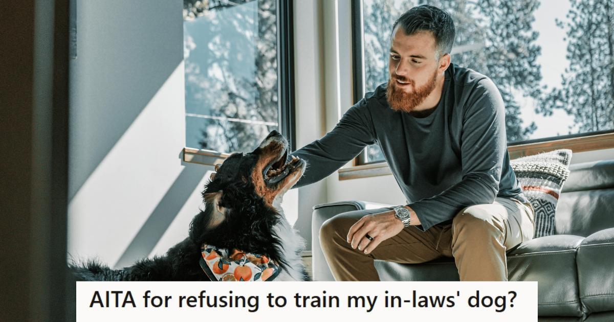 His Horrible In Laws Wanted Him To Train Their New Dog, But They Got Mad At Him When He Told Them To Take The Training Seriously Man playing with a dog in his house