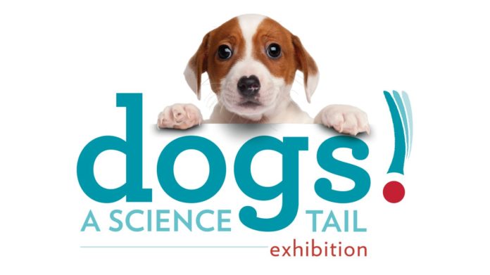 PHOTO: California Science Center | The South Pasadenan | Dogs! A Science Tail Returns to the California Science Center And is Now Open