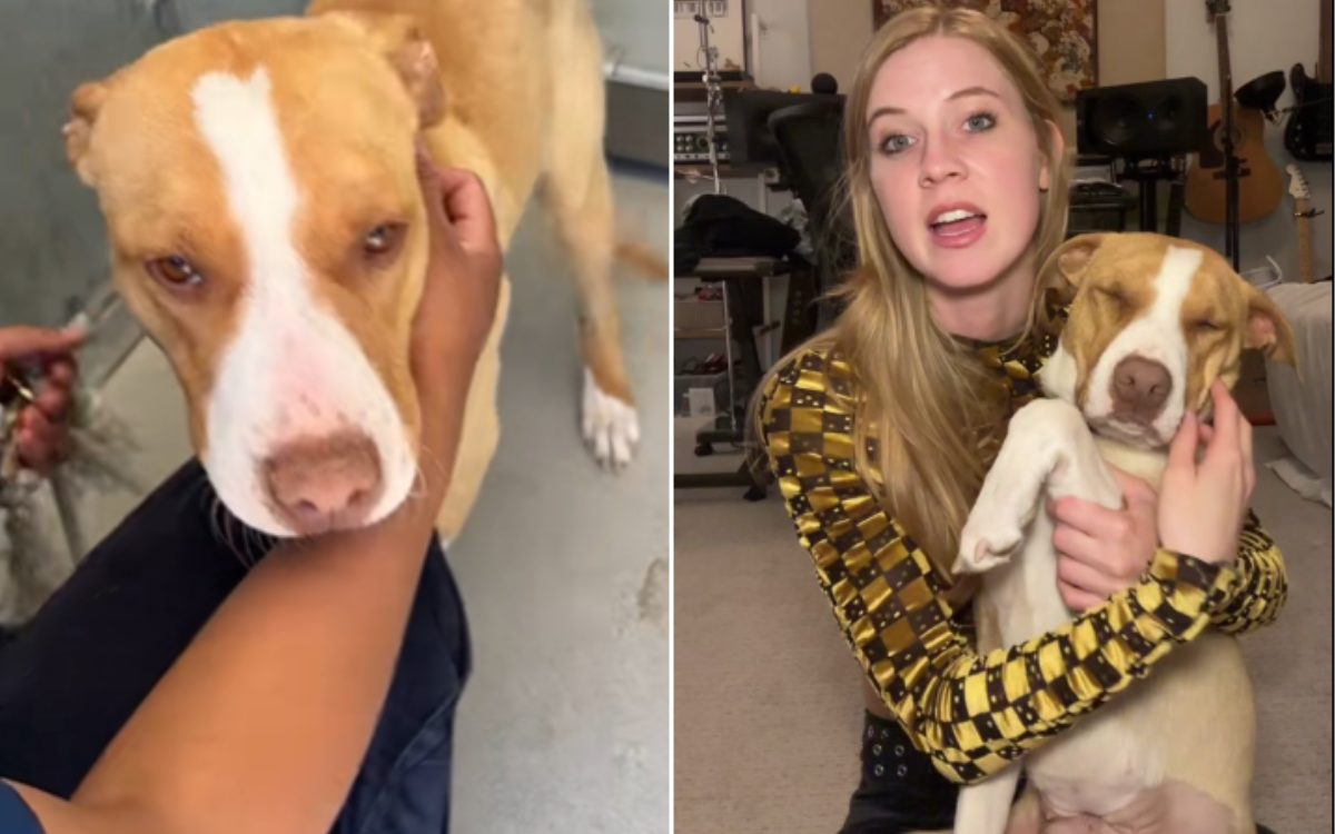 Anna James and her foster dog Ruby.