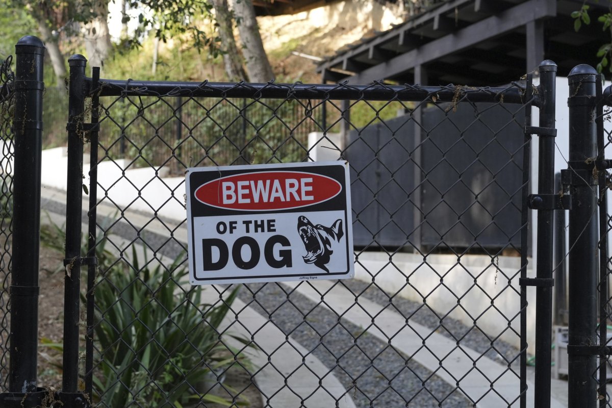 Beware the dog