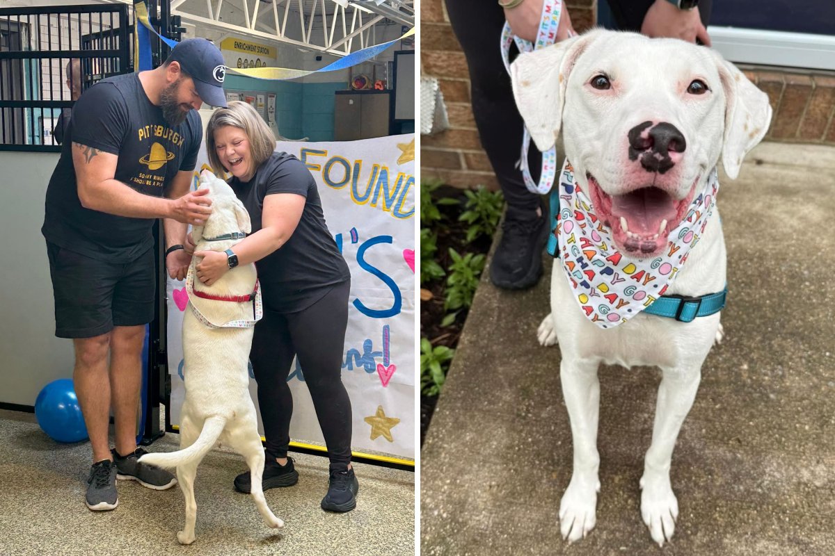 Dog happily greets his adopters
