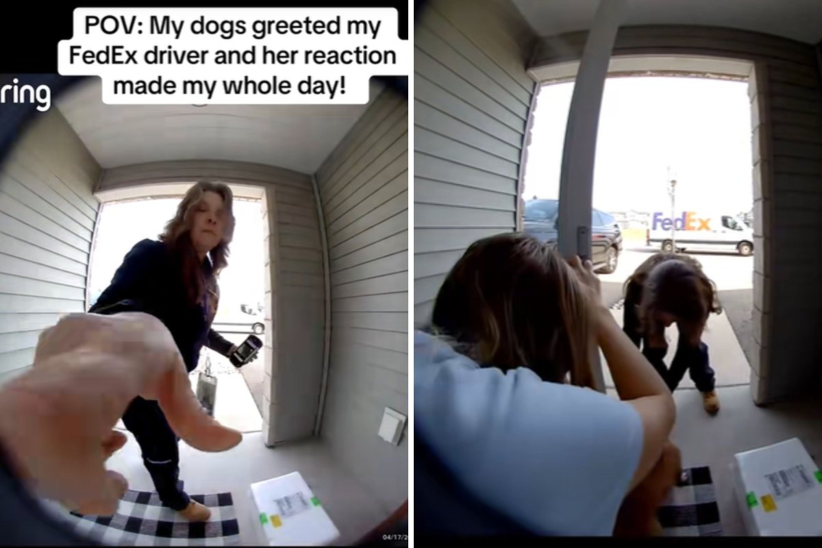 FedEx driver reacts to dogs