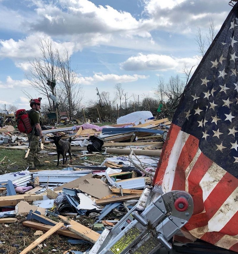 A dog and a handler walk through debris. An American flag flutters in the foreground.