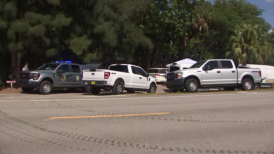 FWC says an 89-year-old man and his dog were killed in a bear attack in Collier County.