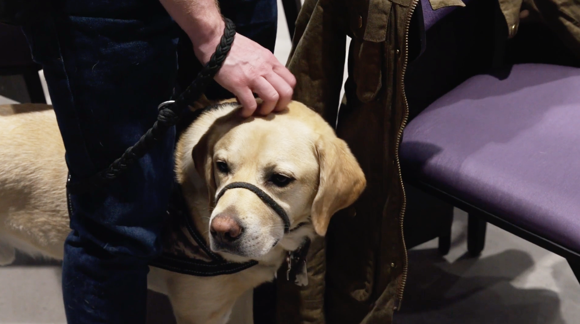 Denver Broncos at UCHealth's homerun derby for Freedom Service Dogs