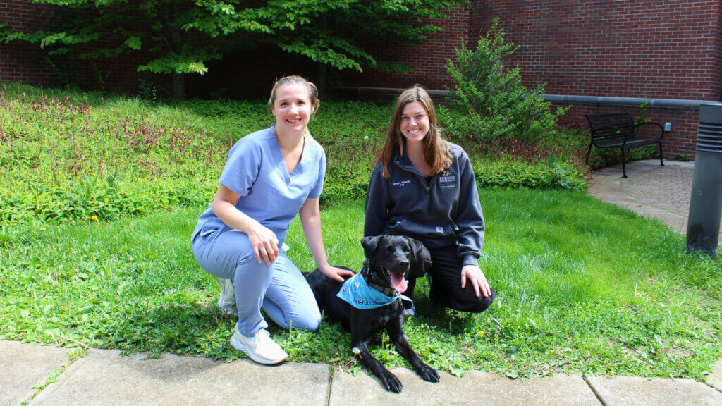 Dr. Julie McLaughlin, a first-year ophthalmology resident with Megan Scheulin, veterinary ophthalmology nurse.