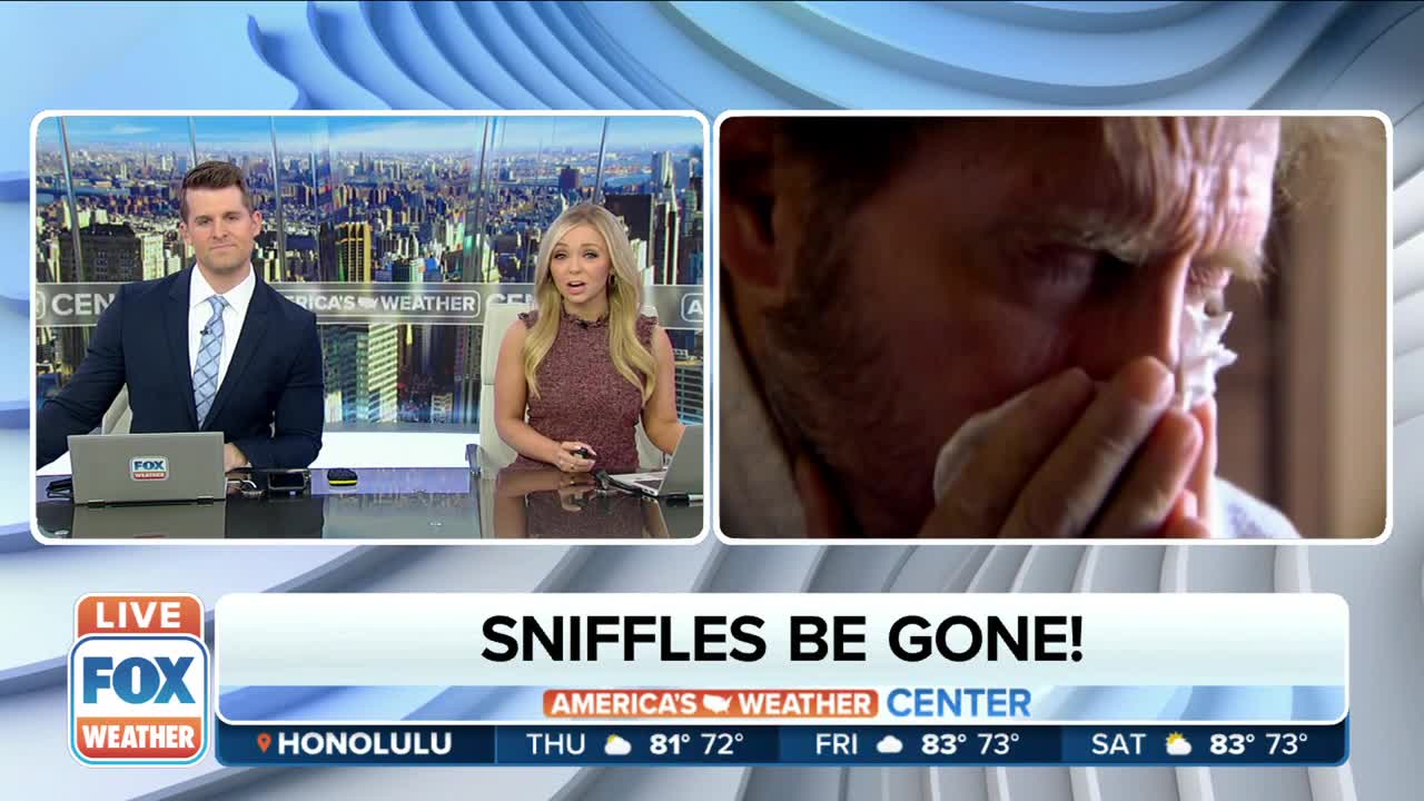 Spring allergies and pollen—How to protect yourself