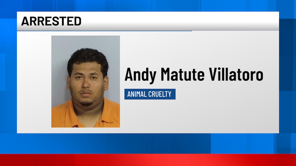 Andy Matute Villatoro