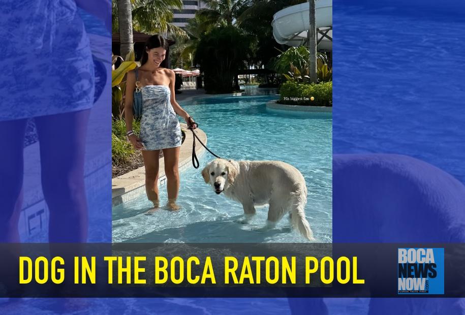 HEALTH THREAT: Influencer Brings Dog Into The Boca Raton Pool 2 %%