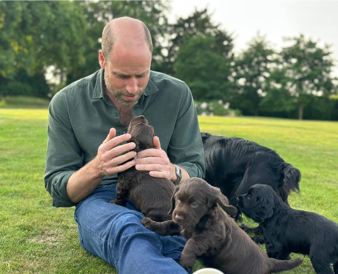 Prince William is seen with new additions to the family