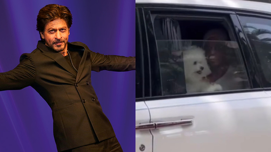 Shah Rukh Khan was spotted in Mumbai with his dog. Shah Rukh Khan was spotted in Mumbai with his dog.
