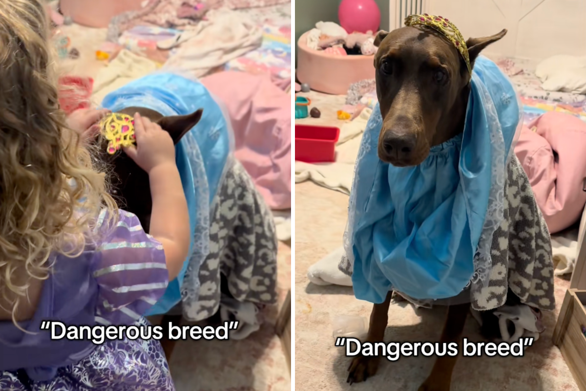 Ellie and Diesel.
