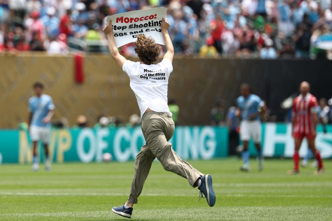 A PETA activist invades the pitch holding a sign that reads