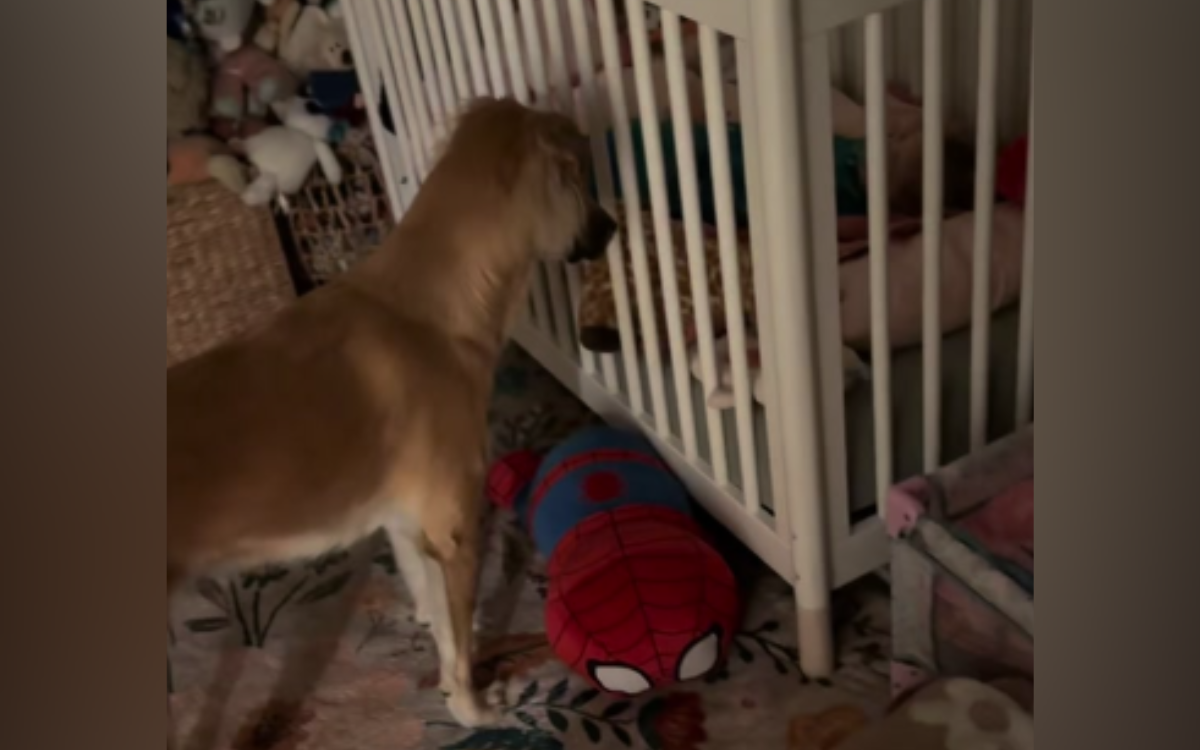 Kaya reacts to finding Nora asleep.