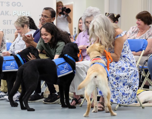 Left to Right, Jean Henry with Chives, Iván and Marisol Velázquez with Bubba IV, Claudia McDonagh with Dawson VIII, and TinaMarie Sifford with Arugula during the Canine Companions hearing dog graduation ceremony, on Friday, June 6, 2025. Four teams graduated with their service dogs who learned service dog skills and to alert to noises/sounds in their environment. (Ricardo Ramirez Buxeda/Orlando Sentinel)