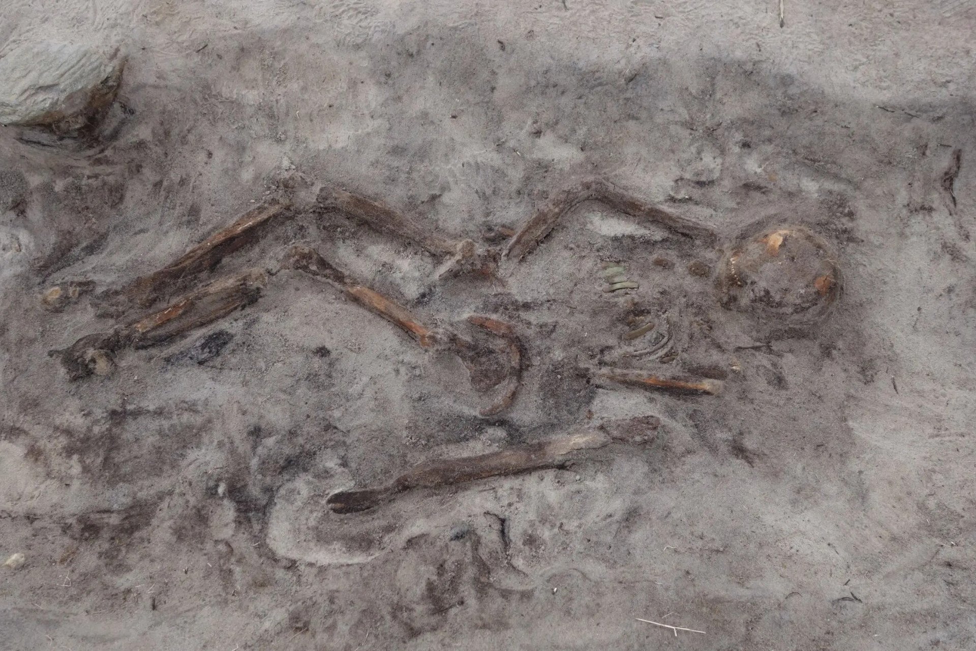 Viking Woman In Boat Grave
