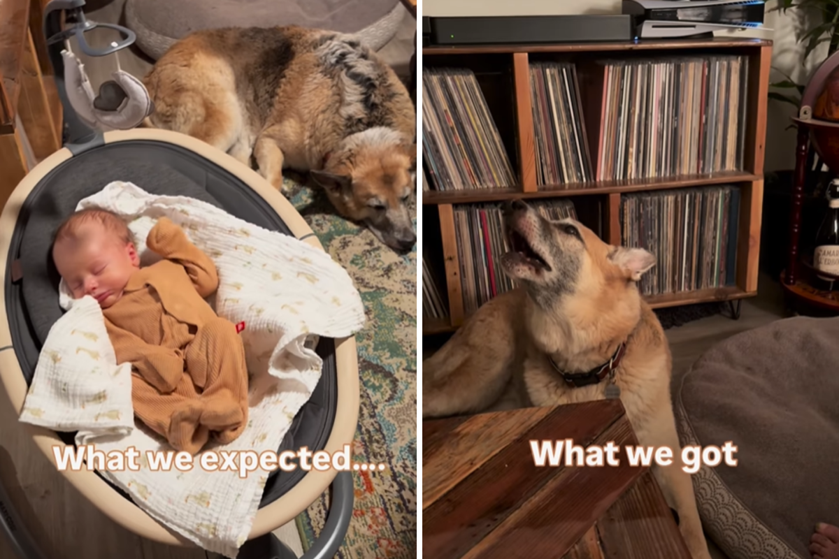 What we expected