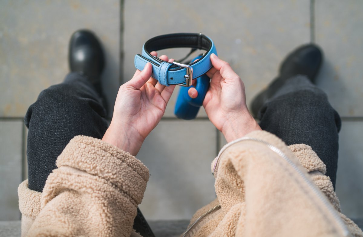 A woman holds a dog collar